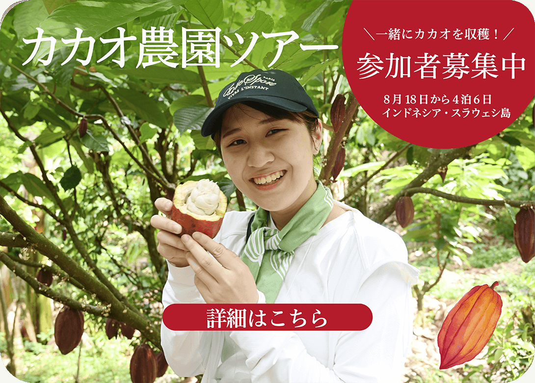 カカオ農園ツアー 参加者募集中